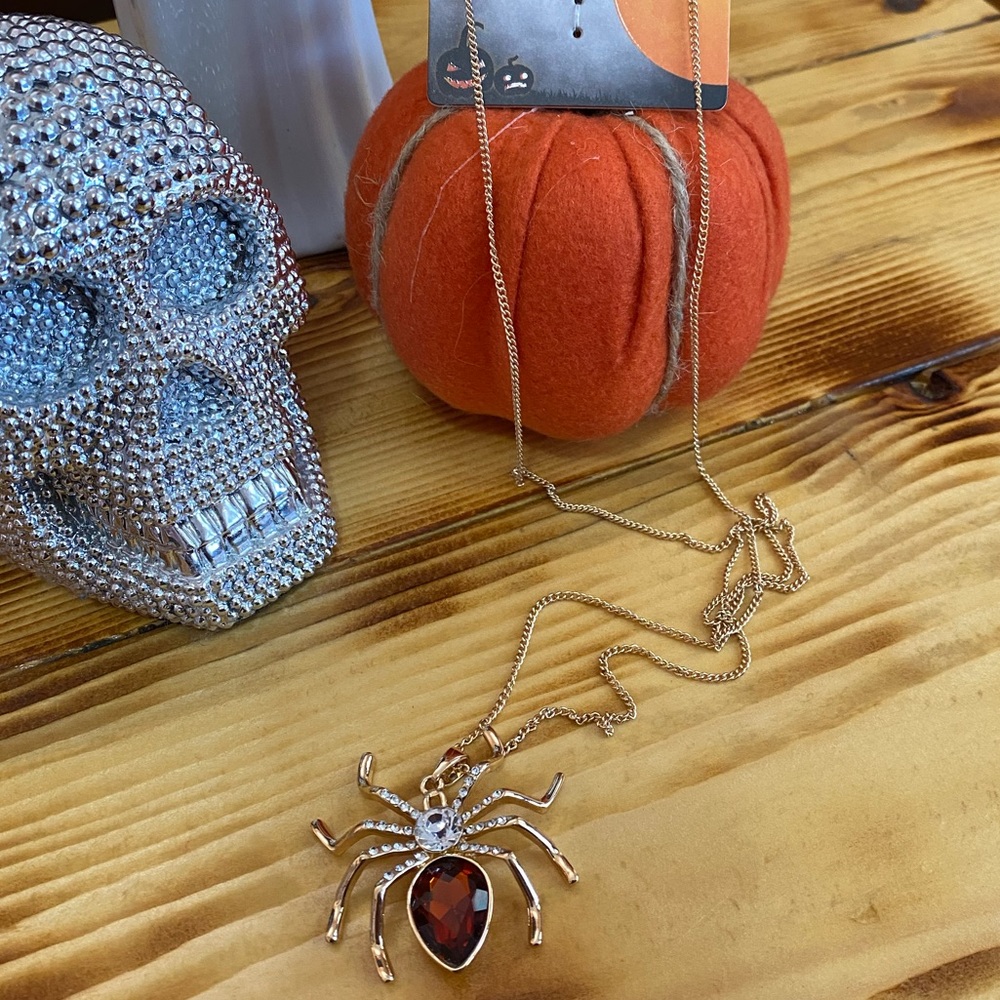 🎃Halloween Spider Long Necklace With Stones From I Am🎃